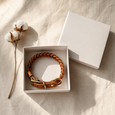 Brown braided leather dog collar in a white box on a beige fabric background with cotton flowers.