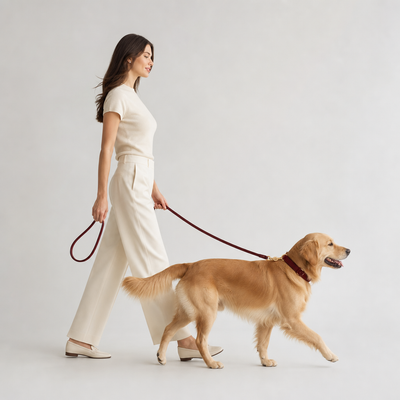 Frau geht mit Golden Retriever spazieren mit luxuriösem passendem Hunde-Leinenset und Halsband
