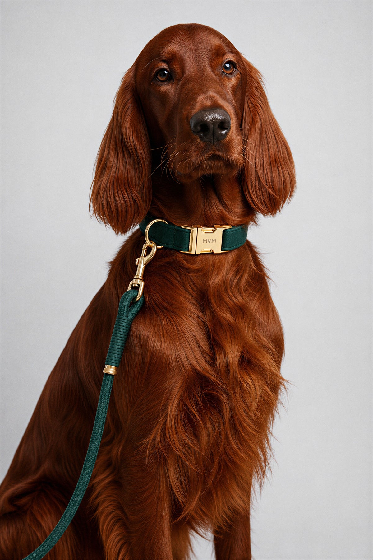 Irish Setter wearing the green MVM Evergreen velvet collar and rope leash