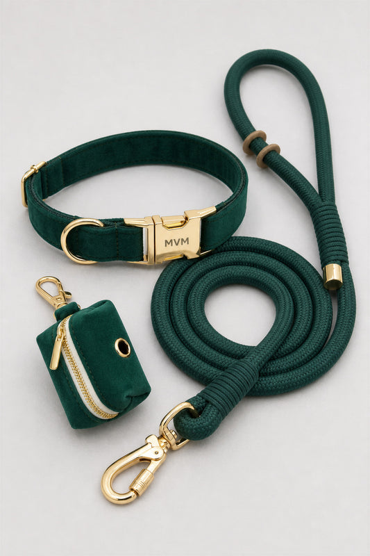 MVM Evergreen dog collar and leash set in green with velvet collar, rope leash and poop bag holder