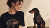 Stylish dachshunds and their owner representing premium dog fashion and accessories.