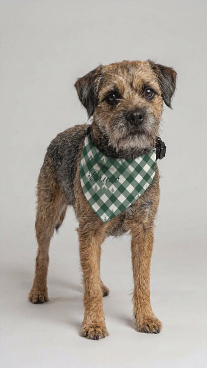 Hundebandana Grün Buffalo Plaid – Name