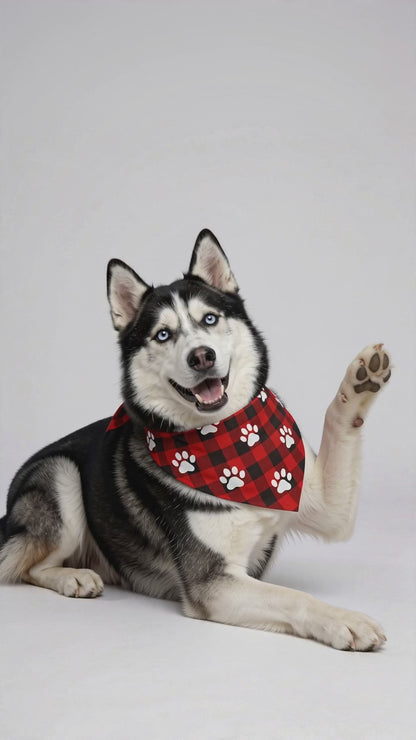 Red Buffalo Plaid Paw Print Dog Bandana Collar
